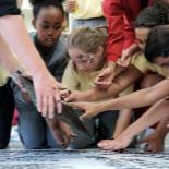 Students put their thumb prints on a giant stencil of the school logo during Theme Day.